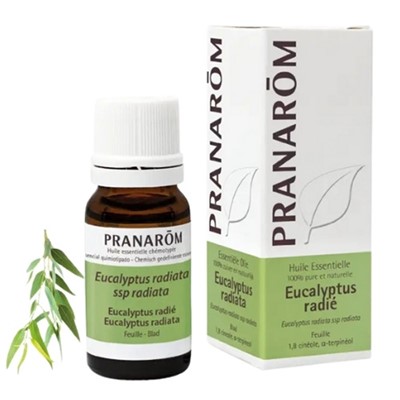 Pranarom Eukaliptus Radiata Eterično ulje 10 ml